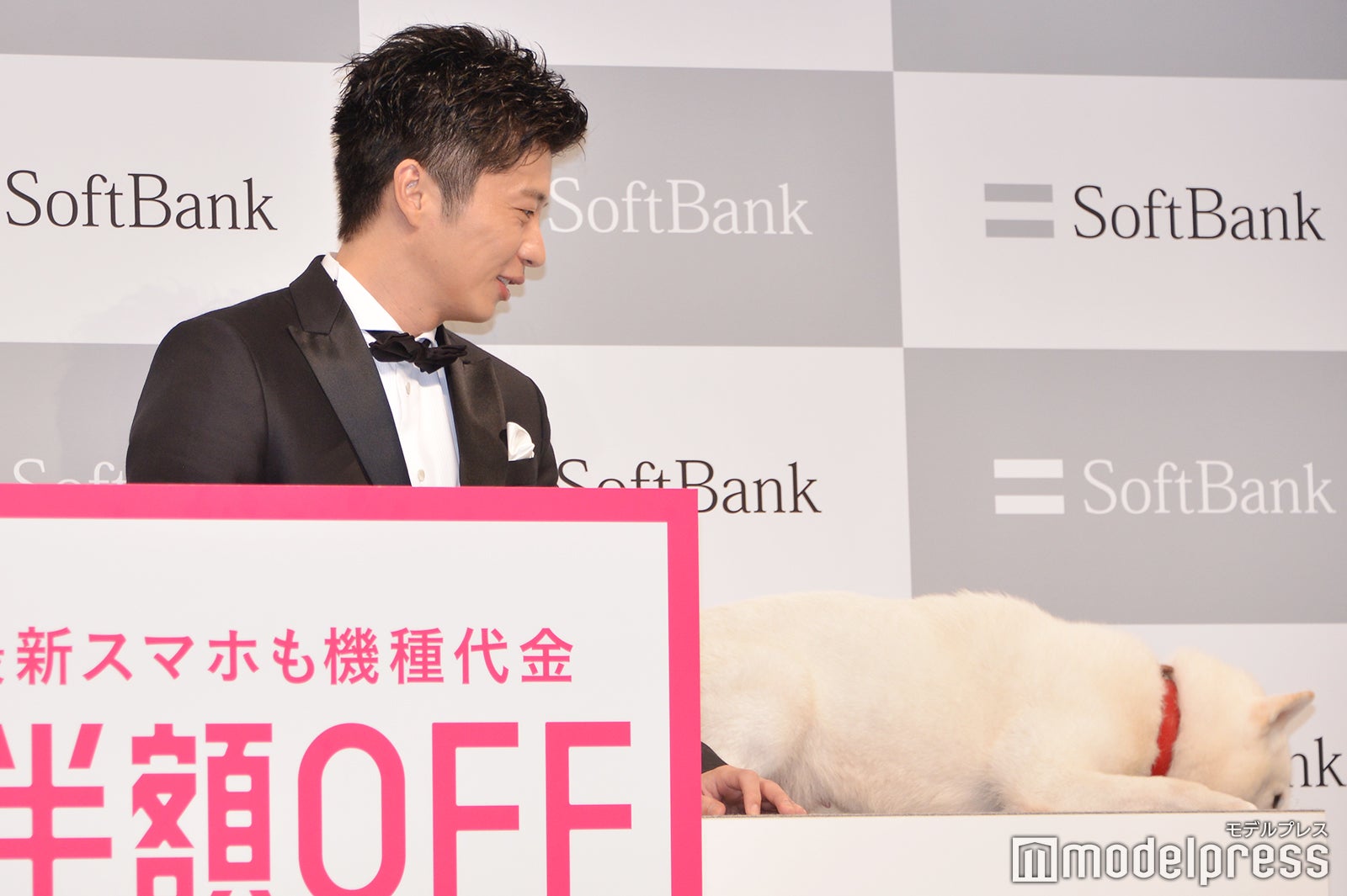 飽きてしまった白戸家のお父さんを見つめる田中圭（C）モデルプレス