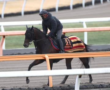 【弥生賞ディープ記念】パントルナイーフ 心身ともに良化 太田助手が底力期待「下地はできた。もっと上げていける」