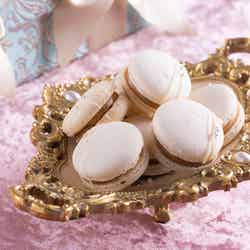 マリー・アントワネットのロイヤルクリスマス(提供写真)