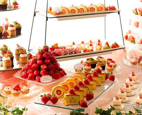 豪華いちごスイーツが食べ放題!甘酸っぱい春の味覚を先取り