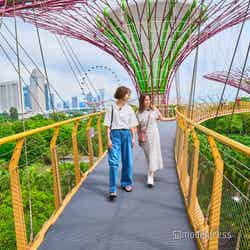 ガーデンズ・バイ・ザ・ベイ(C)モデルプレス