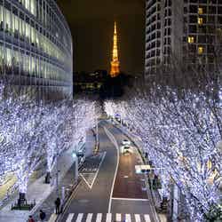 けやき坂イルミネーション(提供写真)