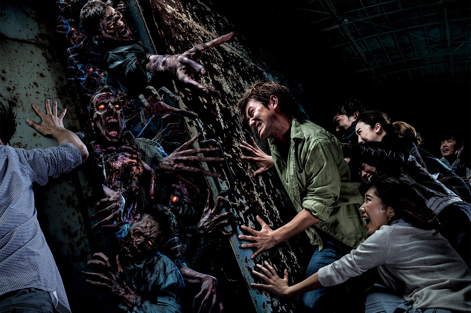 デッドマンズ・フォレスト～死の森からの脱出～／画像提供：ユニバーサル・スタジオ・ジャパン