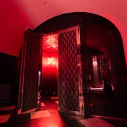 ラックス・トウキョウ/提供画像