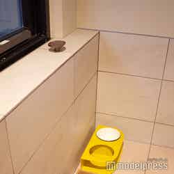 RETONA HAKONE(C)モデルプレス