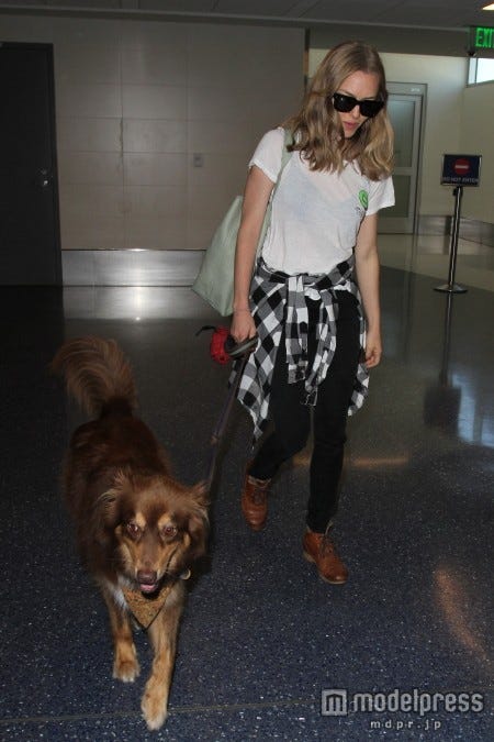 LAX空港でキャッチされたアマンダ・サイフリッドと愛犬。WENN.com／Zeta Image【モデルプレス】