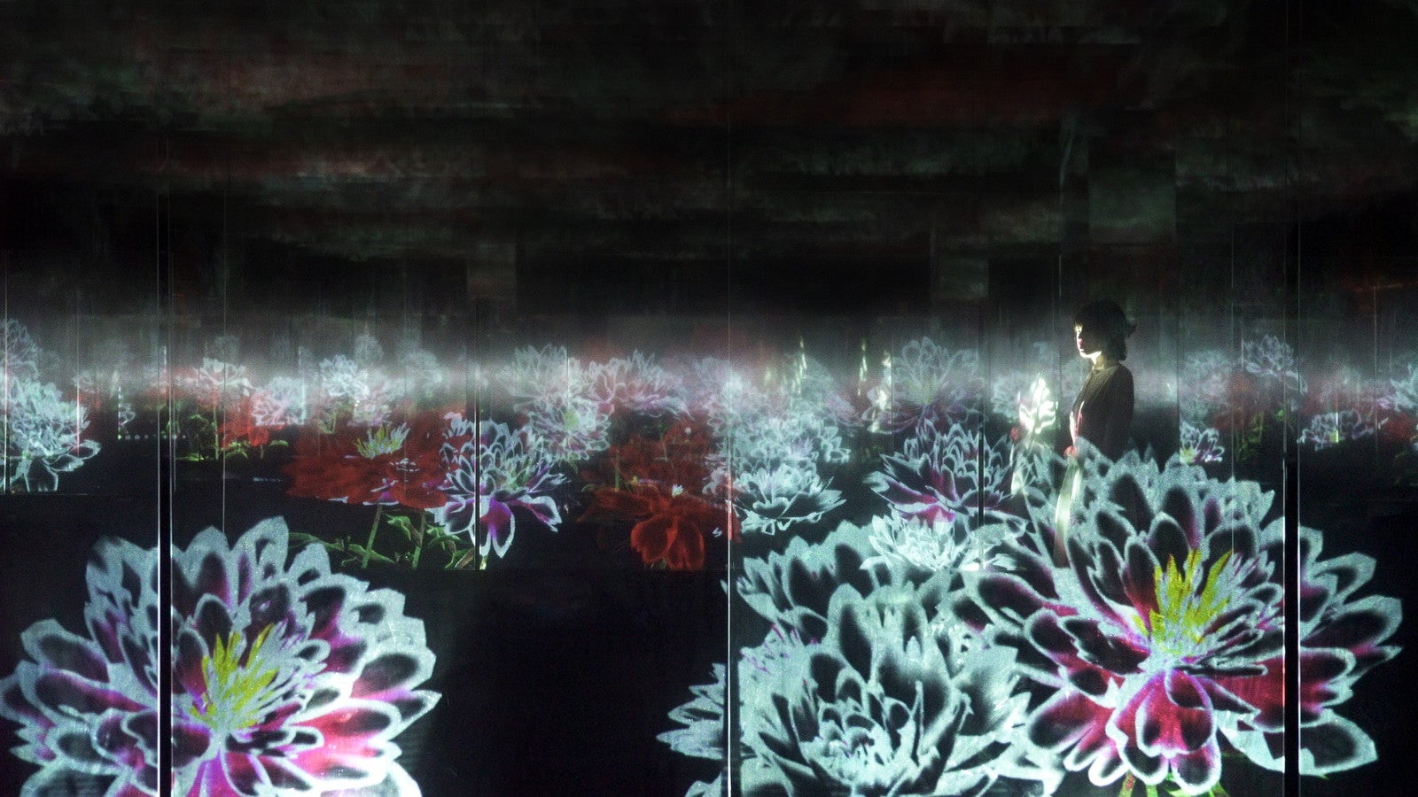 積層された空間に咲く花々（芍薬）／画像提供：チームラボ