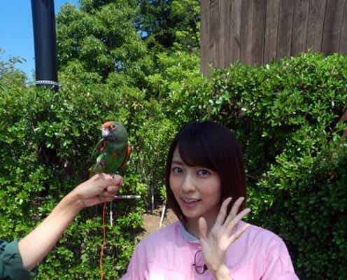 「トッキュウジャー」小島梨里杏、初バラエティ番組レギュラー決定