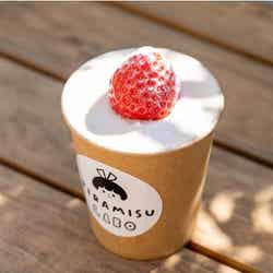 いちごティラミス 680円/画像提供:SHIP