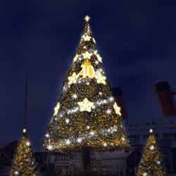 東京ディズニーシーに4年ぶりに飾られるクリスマスツリー（C）Disney