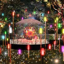MIDTOWN CHRISTMAS 2022／画像提供：東京ミッドタウンマネジメント