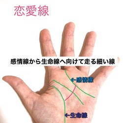 出逢ったのは運命 この恋の行方を占ってみよう モデルプレス