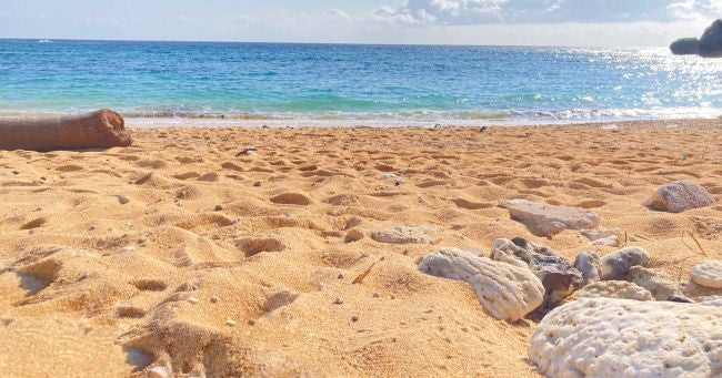 glampark resort アクナ浜／画像提供：glampark