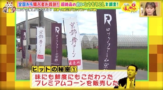 【京都・久御山町】全国から購入者が殺到!1日数千本も売れた「白いスイートコーン」とは?