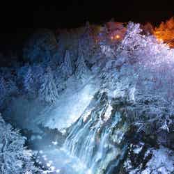 白ひげの滝ライトアップ/画像提供:美瑛町観光協会