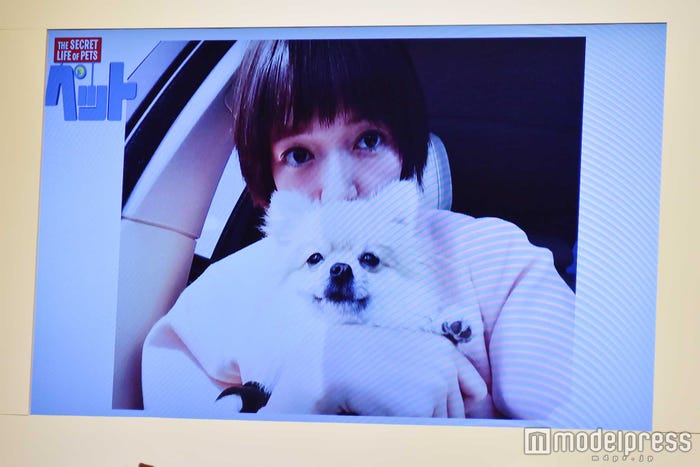 佐藤栞里と愛犬(C)モデルプレス