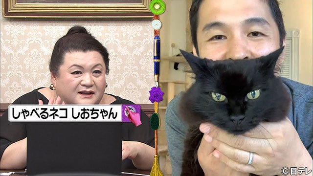 マツコ しゃべる猫 しおちゃん登場で大興奮 皆さんの投稿がアタシを支えてる モデルプレス マツコ しゃべる猫 しおちゃん登場で大興奮 皆さんの投稿がアタシを支えてる モデルプレス