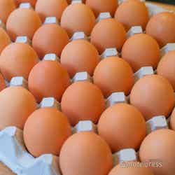 FRECKLE donuts(C)モデルプレス