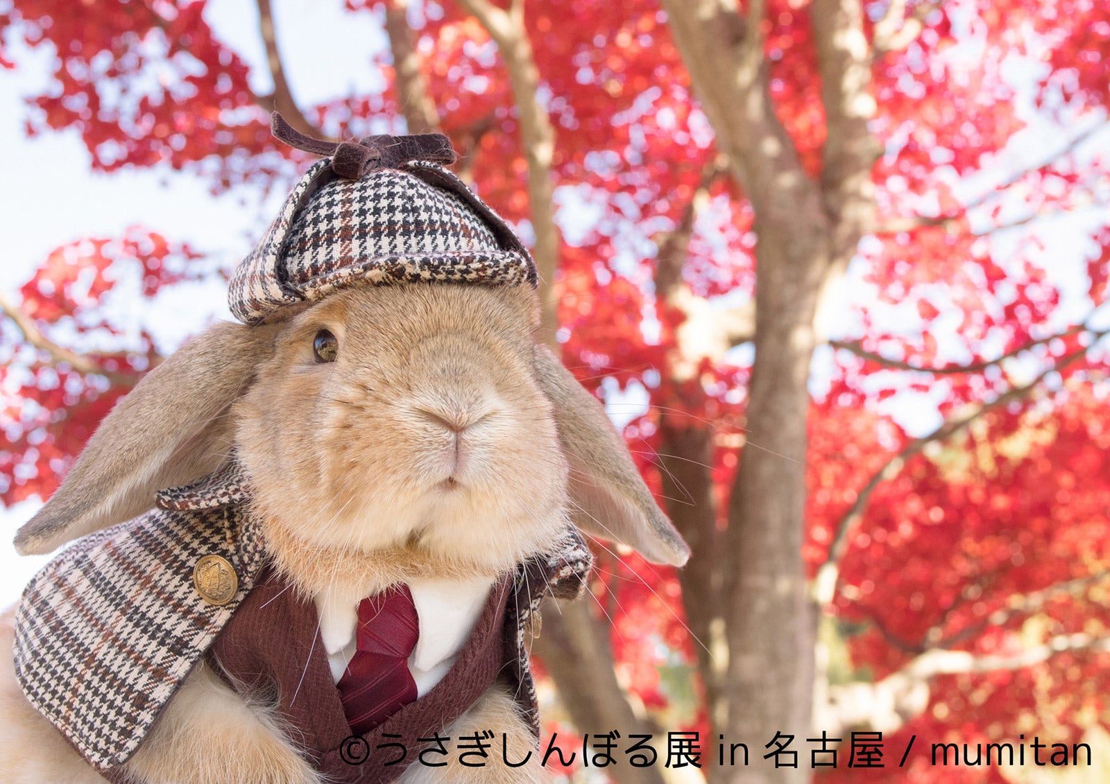 「うさぎしんぼる展」名古屋初上陸　SNS人気の“神うさぎ”など作品300点超を展示　