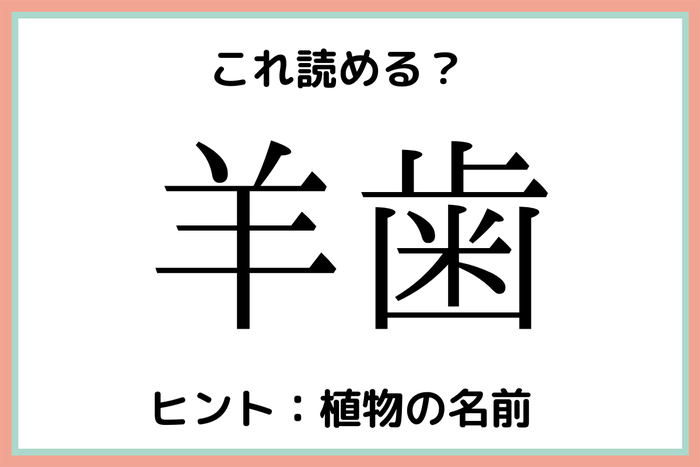 羊歯 ようし 読めそうで読めない 難読漢字 4選 モデルプレス 羊歯 ようし 読めそうで読めない 難読漢字 4選 モデルプレス