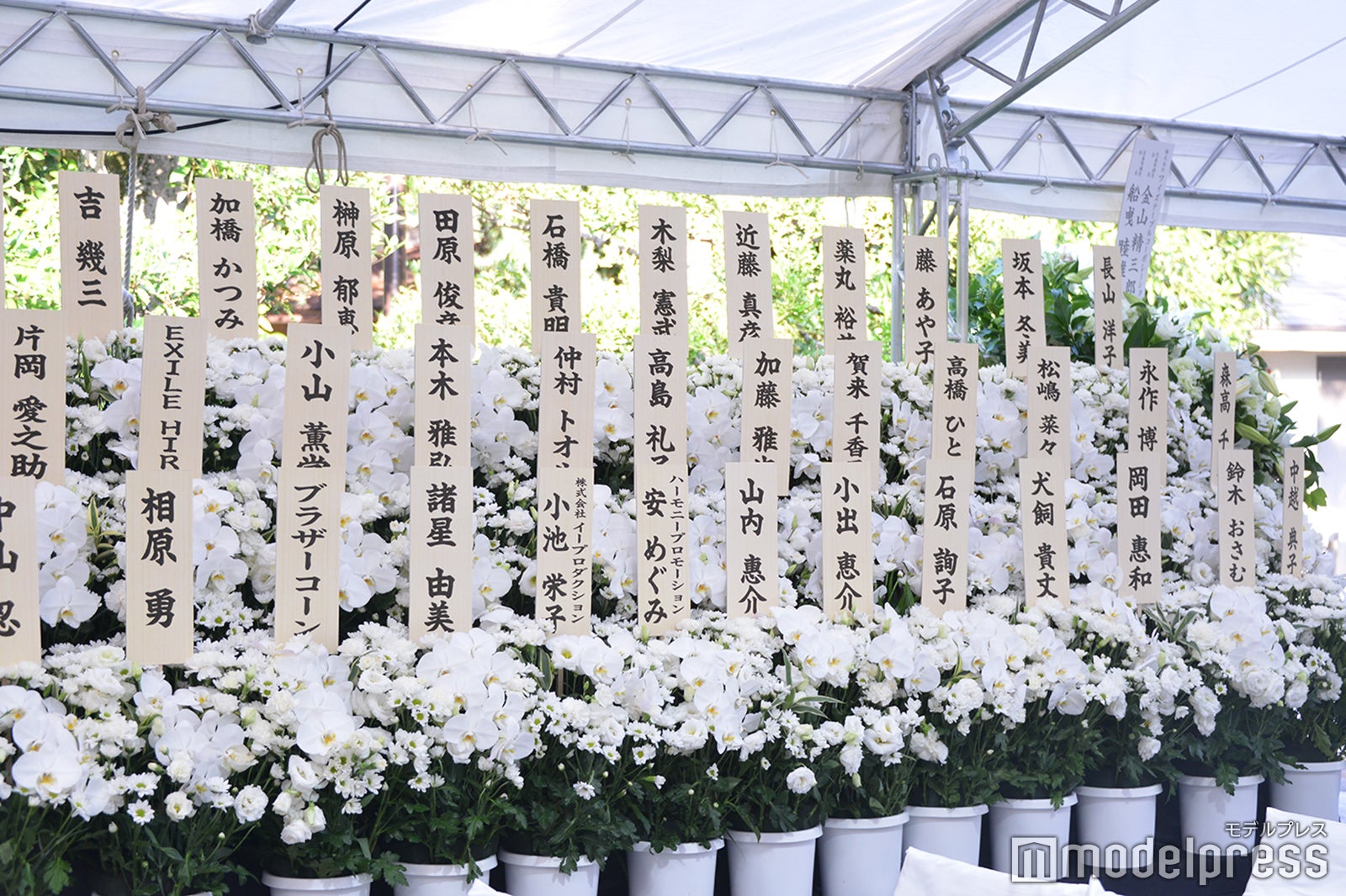 川村龍夫会長に贈られた供花（C）モデルプレス