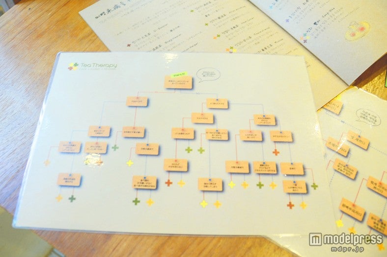 チャートから自分にあう韓方茶がわかる