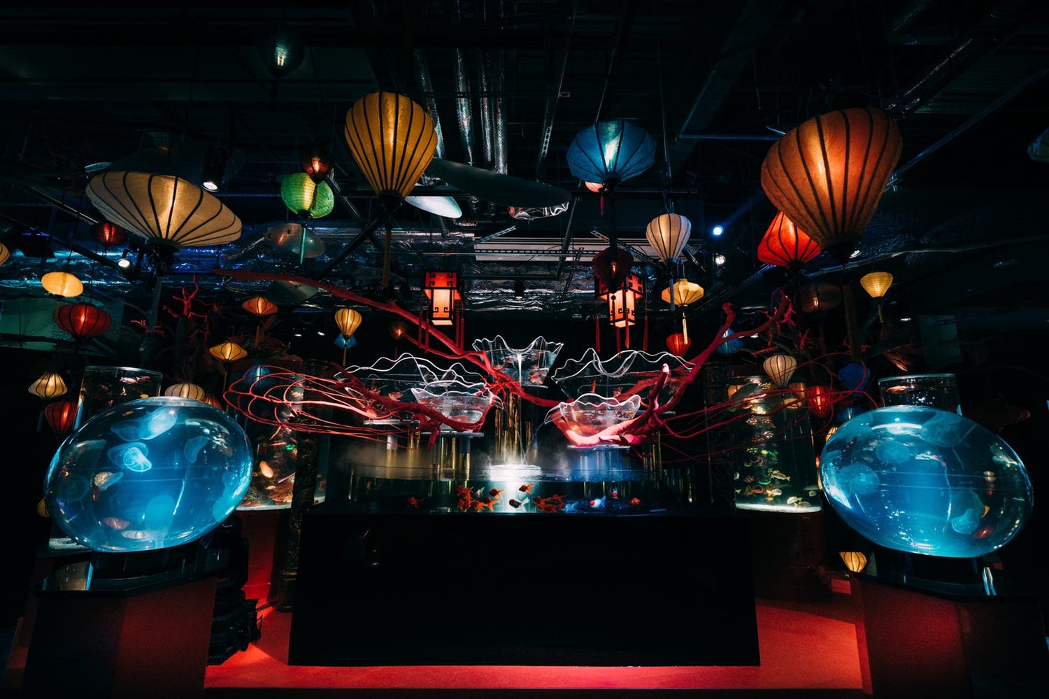 お台場に新アクアリウム施設「UWS AQUARIUM GA☆KYO」日本の伝統・伝説を5つの異空間で表現