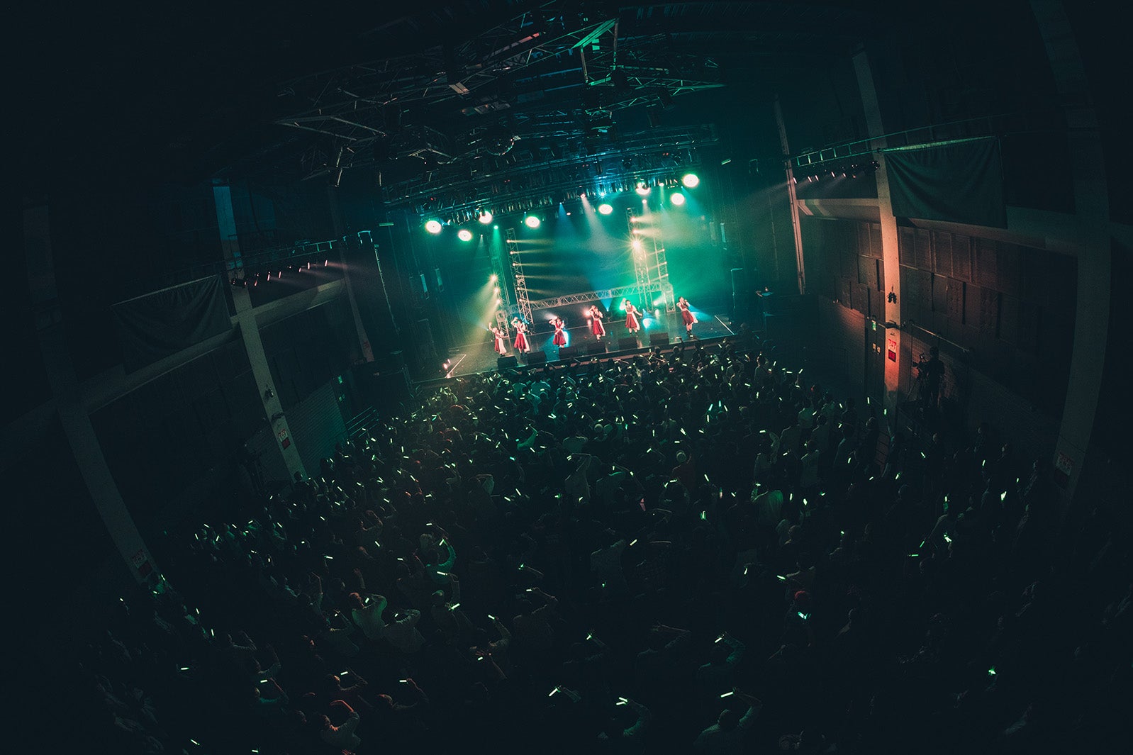 かすみ草とステラ／撮影：真島洸 （提供写真）