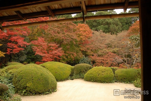 「詩仙堂」／ photo by np＆djjewell