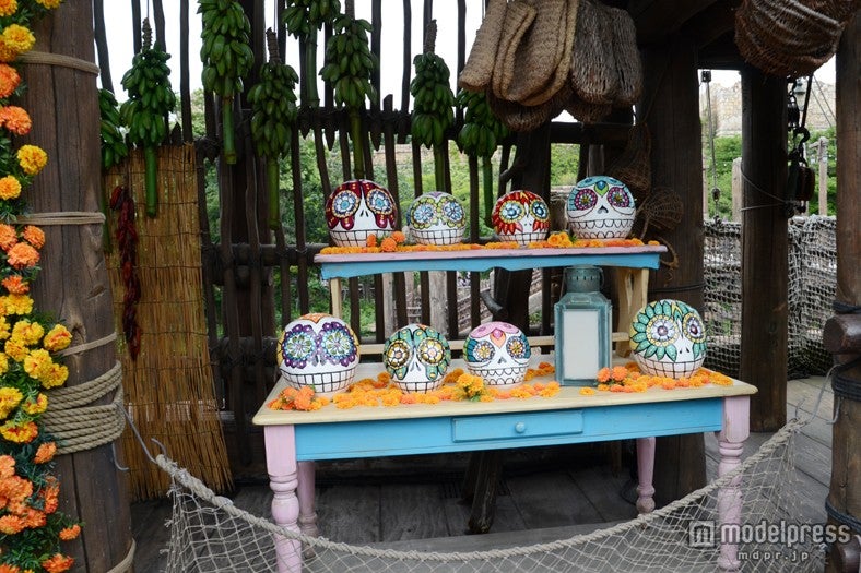 ロストリバーデルタの装飾（TDS）