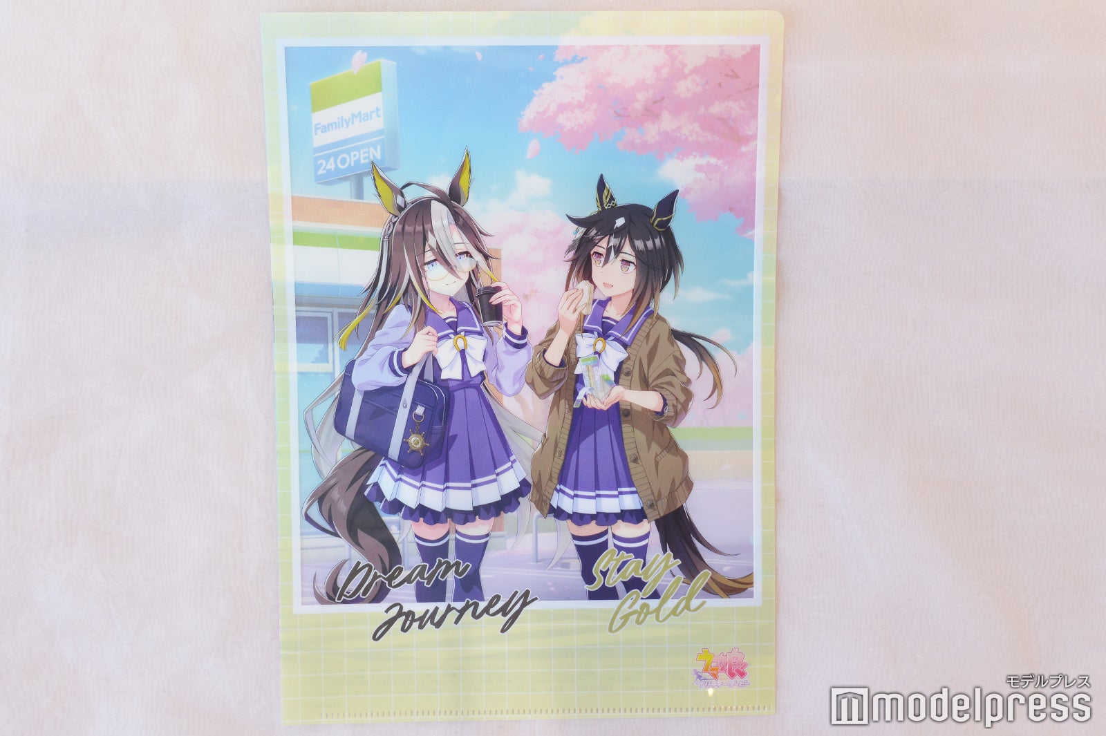 オリジナルA4マジッククリアファイル（C）モデルプレス