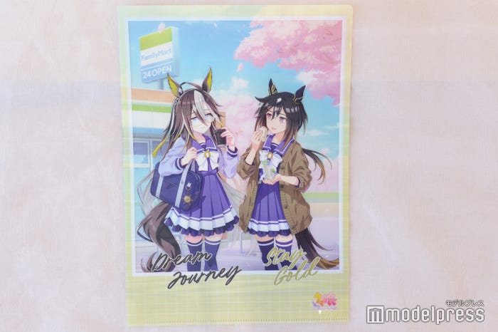 オリジナルA4マジッククリアファイル(C)モデルプレス