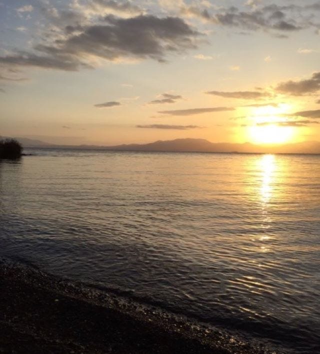 ママが「行ってよかった！」と太鼓判♡