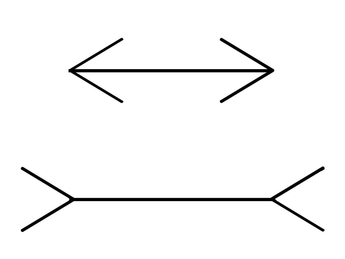 ミュラー・リヤー錯視