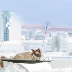 キャットハンモック/画像提供:ハイアット リージェンシー 大阪