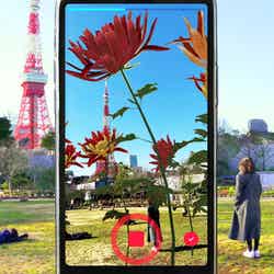 チームラボリコネクト:アートとサウナ 六本木/画像提供:チームラボ