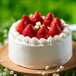 Healing Garden -New Retro Sweets×Glamping Recipes-/提供画像