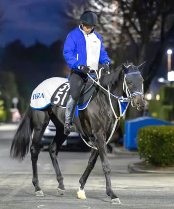 【新馬戦】ダノンテムズ 気性面安定 寺島師「脚が長くて跳びが大きい」初陣V期待