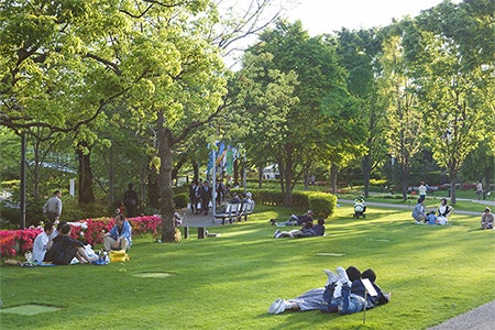 「MIDTOWN OPEN THE PARK 2018」ピクニックシート エキシビション