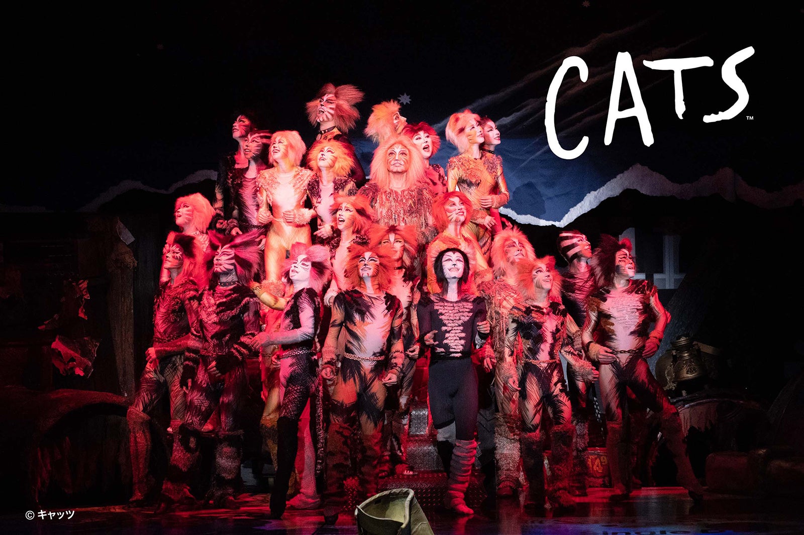 CATS（提供写真）