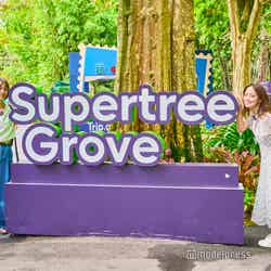 ガーデンズ・バイ・ザ・ベイ(C)モデルプレス