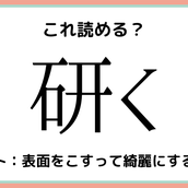 樫 堅い木 読めたらスゴイ 木へんの難読漢字 4選 モデルプレス 樫 堅い木 読めたらスゴイ 木へんの難読漢字 4選 モデルプレス