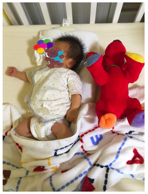 生後2週間のリンクくん/ぺこオフィシャルブログ(Ameba)より