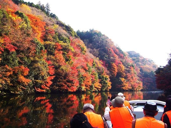 関東近郊 本当は誰にも教えたくない 秘密の紅葉絶景スポット 3選 女子旅プレス