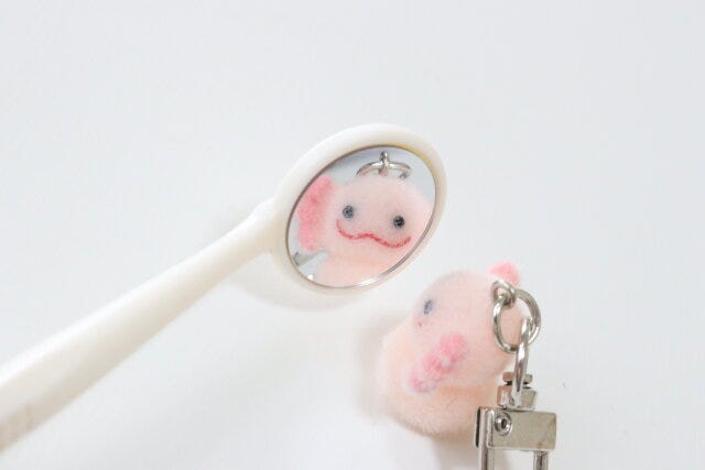 セリア くもり難い!歯の裏チェック口腔内ミラー 映り セリア くもり難い!歯の裏チェック口腔内ミラー 映り