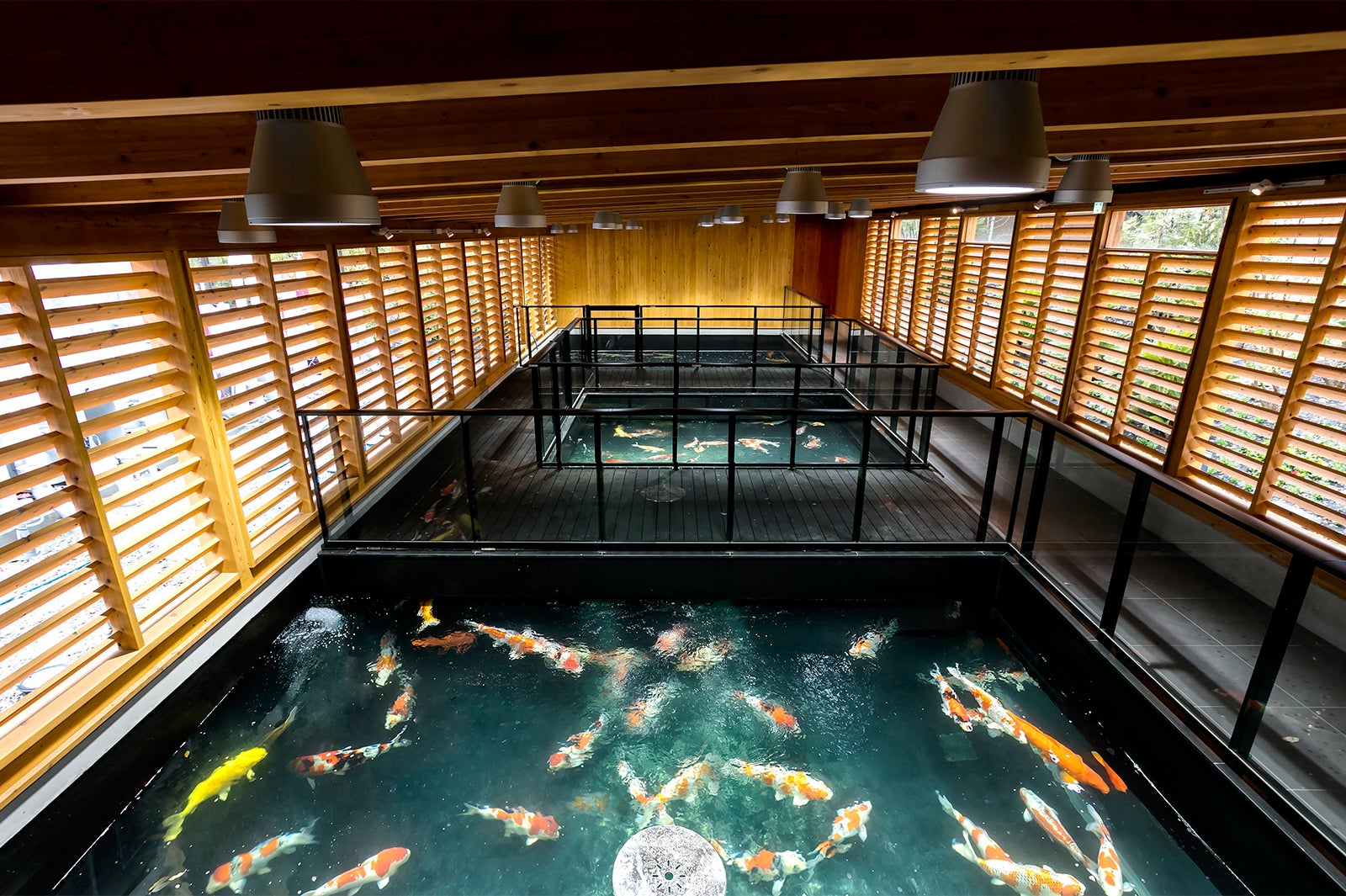 こいの入り口／画像提供：ネスタリゾート神戸