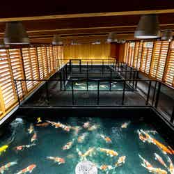 こいの入り口/画像提供:ネスタリゾート神戸