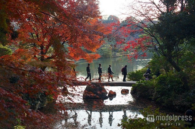 「六義園」の紅葉／Photo by Naoki Ishii【モデルプレス】