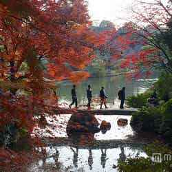 「六義園」の紅葉/Photo by Naoki Ishii【モデルプレス】