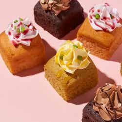 軽食代わりになるスイーツも (提供画像)